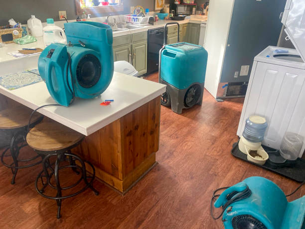 Best Commercial water damage restoration  in Sale Creek, TN