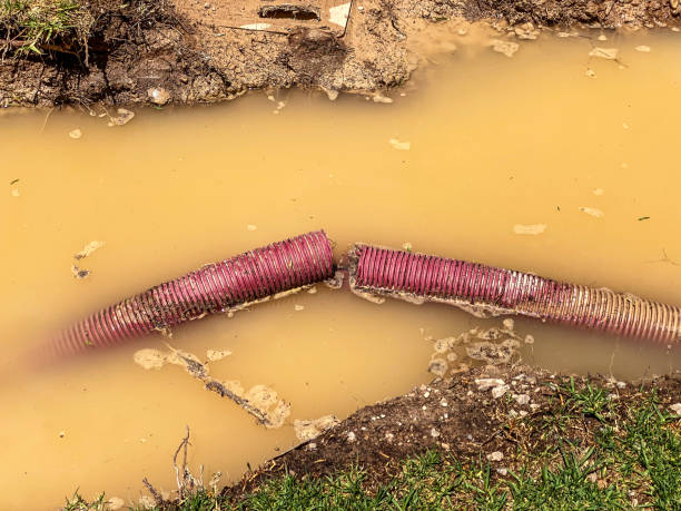 Best Commercial water damage restoration  in Sale Creek, TN