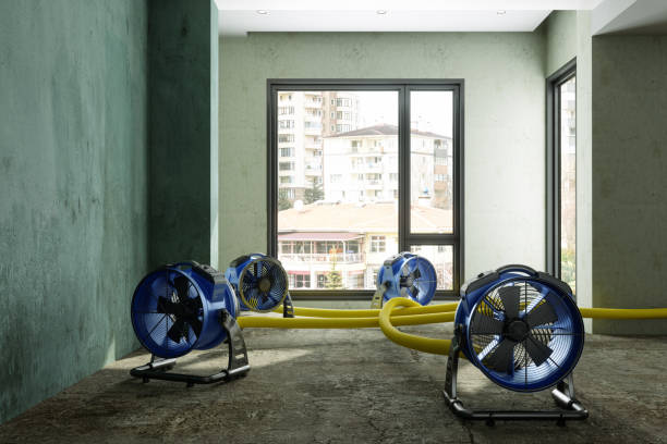 Best 24-hour water damage restoration  in Sale Creek, TN